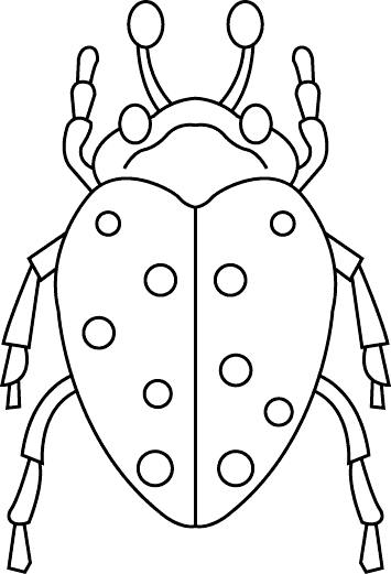 Biedronka kolorowanki